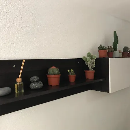 Cactus Pool View Apartment *
