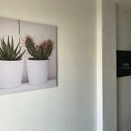 Appartamento Cactus Pool View